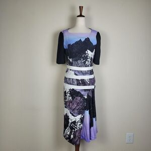 Peter Pilotto Dress Womens 8 Multicolor Sheath Mountain Landscape Asymmetrical
